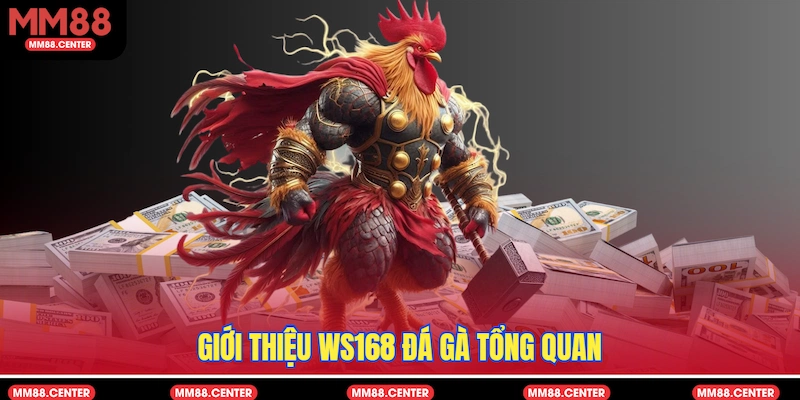 Giới thiệu WS168 Đá Gà tổng quan
